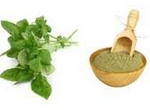 tulsi for hair care