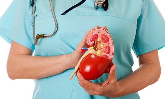 Kidney Image