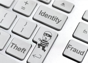 Avoiding Identity Theft Damage
